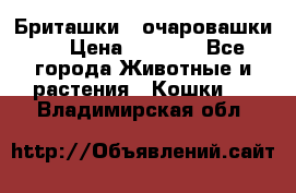 Бриташки - очаровашки.  › Цена ­ 3 000 - Все города Животные и растения » Кошки   . Владимирская обл.